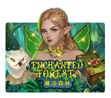 Enchanted-Forest