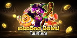 เล่นสล็อต มือใหม่ โบนัสใหญ่